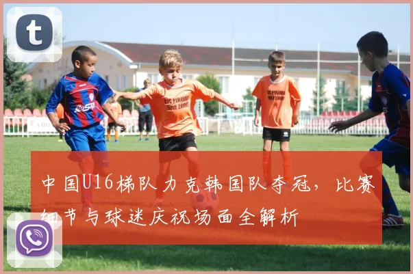 中国U16梯队力克韩国队夺冠，比赛细节与球迷庆祝场面全解析