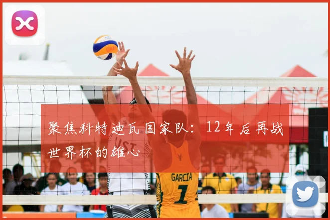 聚焦科特迪瓦国家队：12年后再战世界杯的雄心